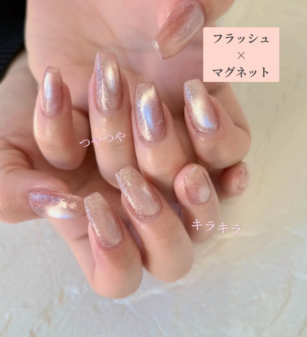 シンプル マグネット/フラッシュ ワンカラー